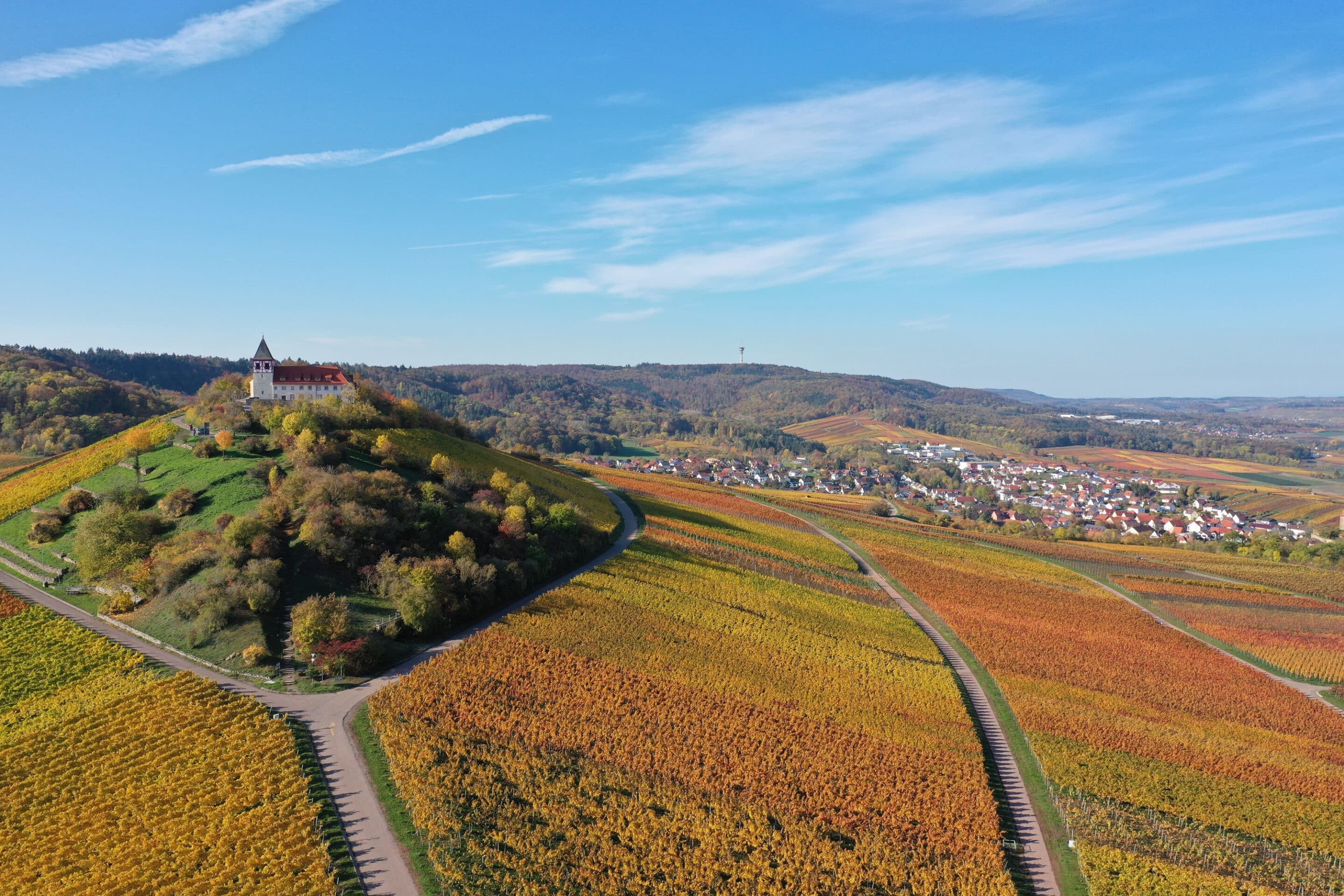 chiropraktik cleebronn