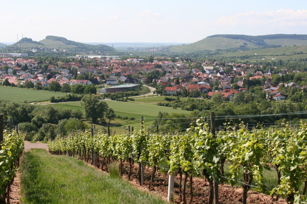 chiropraktik ellhofen