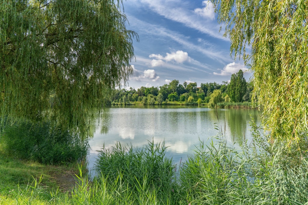 chiropraktik oedheim